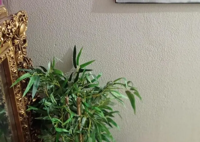 Gascona Con Deli Privatunterkunft *